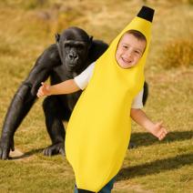 Disfraces Frutas y Comidas Niños.