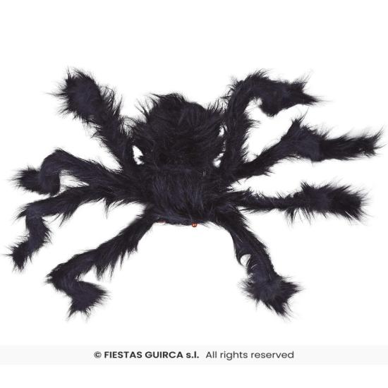 Araña negra, 70 cms.