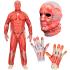 Disfraz de Anatomía FAST COSTUME para Adultos