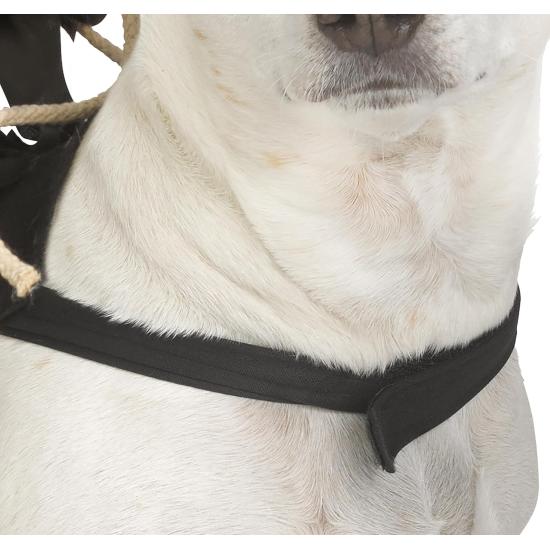 Disfraz de jinete Ghost Face® para mascota