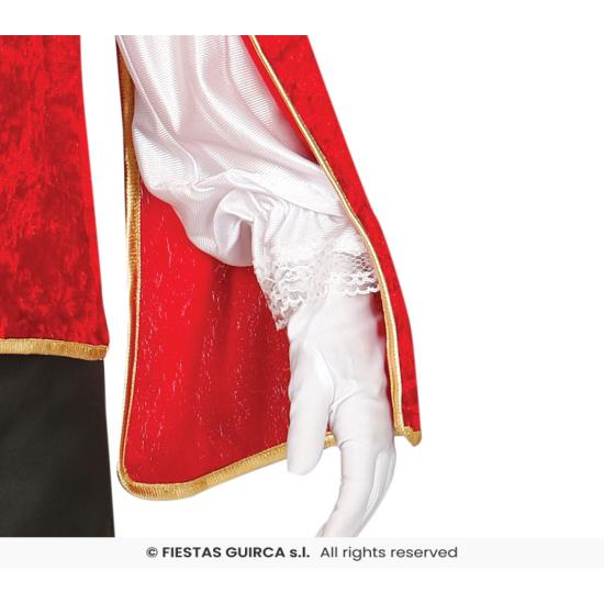 Disfraz de mosquetero valiente para niño