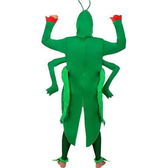 Disfraz de saltamontes para adulto