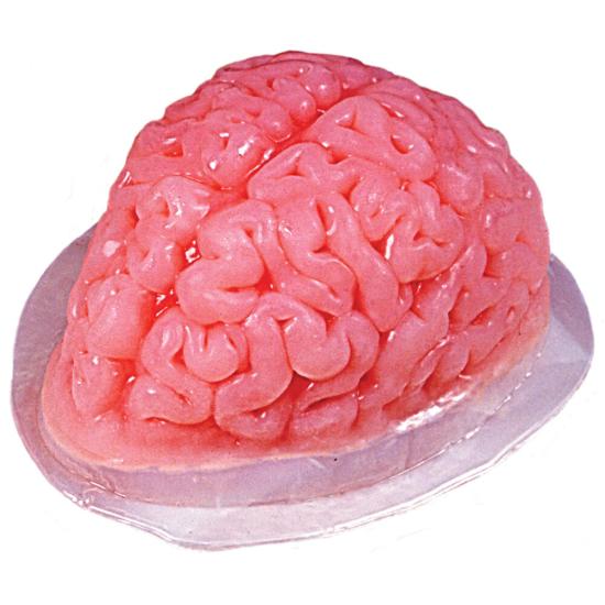 Molde de gelatina cerebral